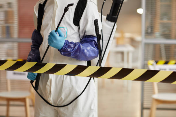 Professional Sewage Cleanup technician working in Ferndale, FL