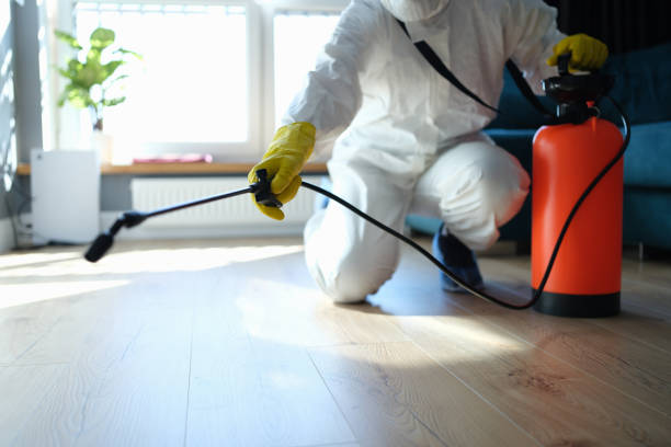 Trusted Sewage Cleanup service in Ferndale, FL - Four Month Blood Cleanse